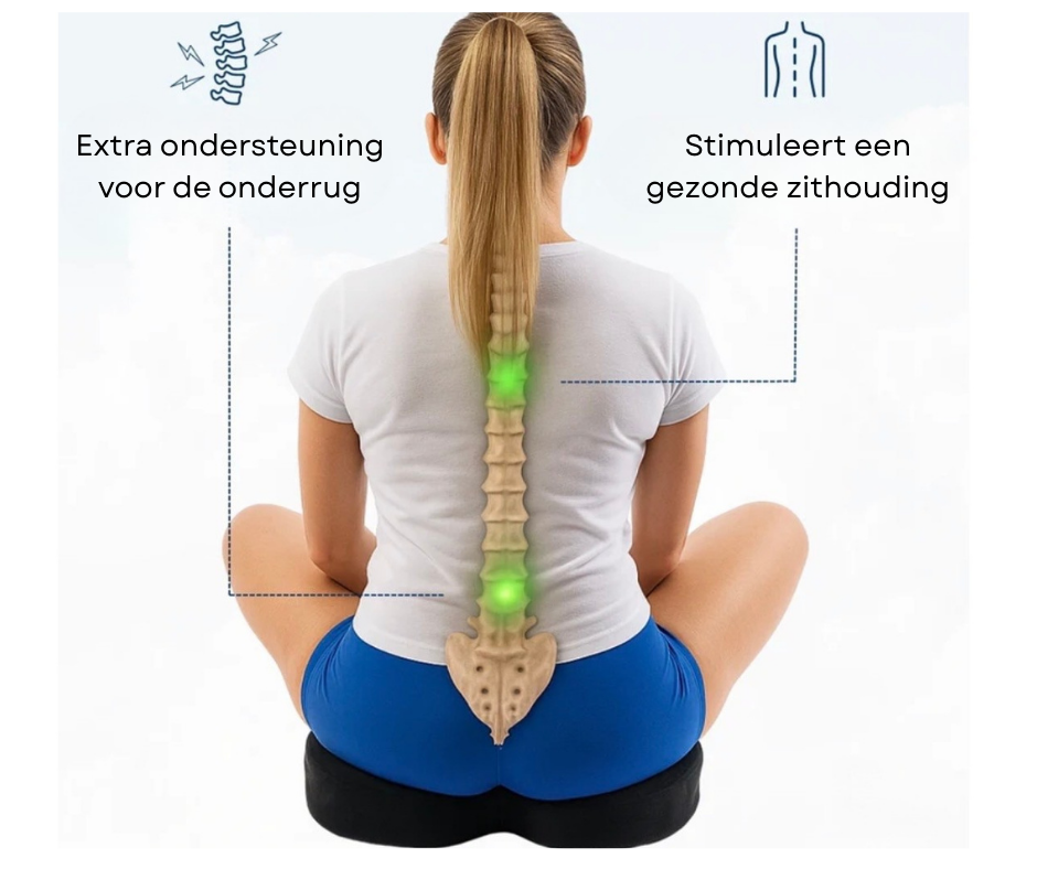 WellBetter Ergocloud pillow
