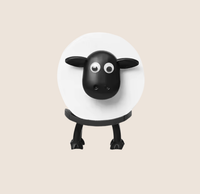 Schaap