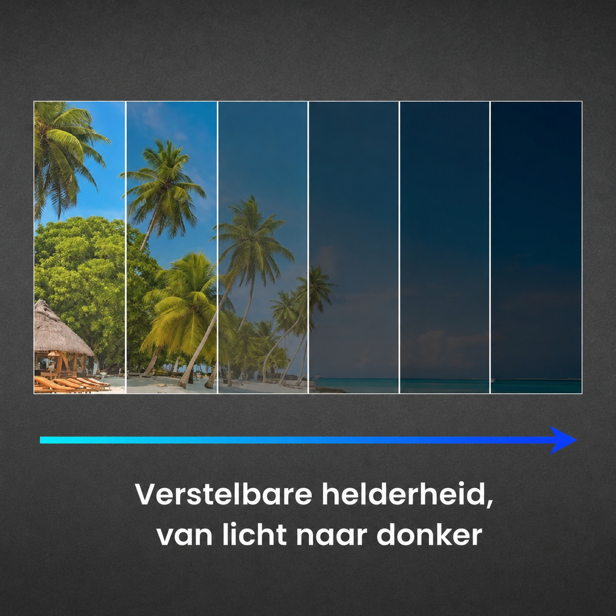 WellBetter SolarFlex