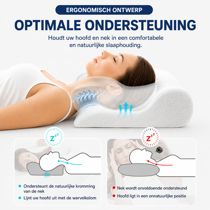 WellBetter DreamPillow