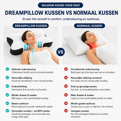 WellBetter DreamPillow